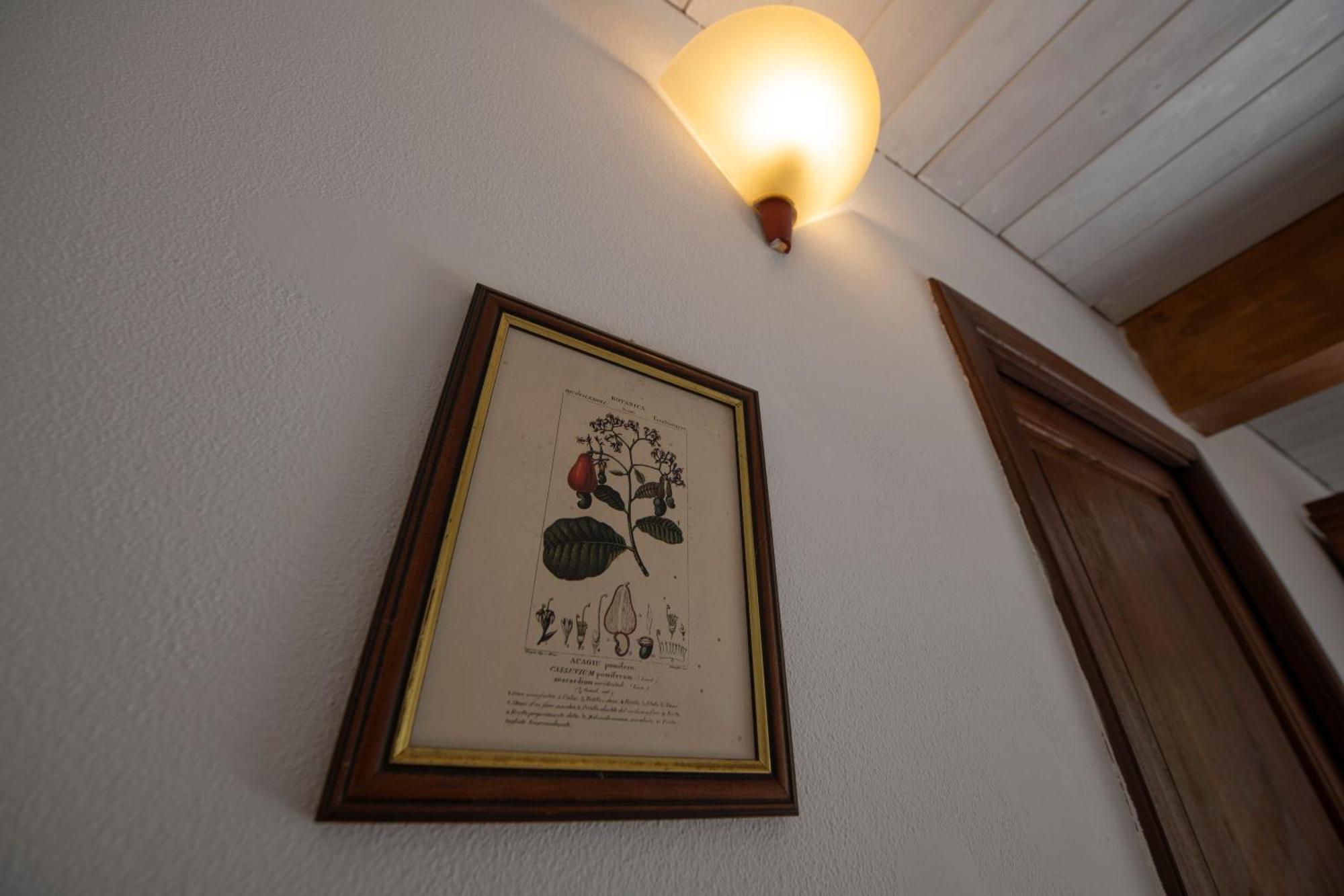 269 - La Stalla Country House, Nel Di Casarza - 15 Minuti D'auto Dal Mare Holiday home Casarza Ligure